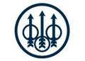 Beretta sights